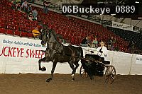 06buckeye_0889 proof