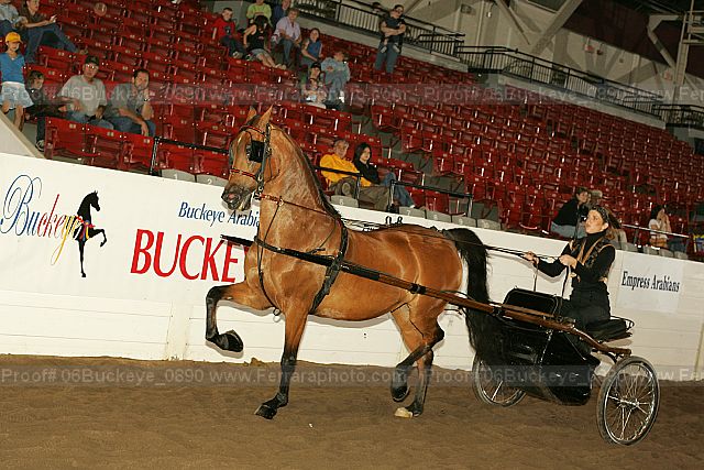Proof 06buckeye_0890