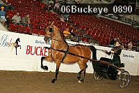 06buckeye_0890 proof