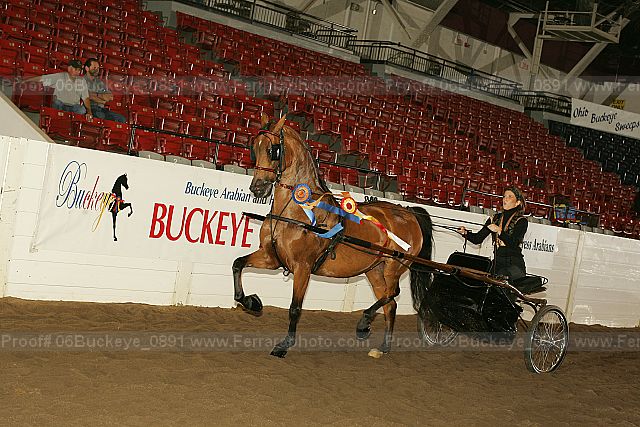 Proof 06buckeye_0891