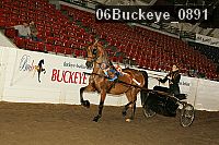 06buckeye_0891 proof