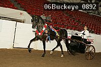 06buckeye_0892 proof