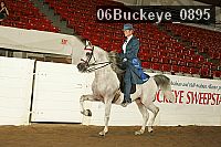 06buckeye_0895 proof