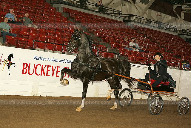 Proof 06buckeye_0897