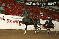 06buckeye_0897 proof