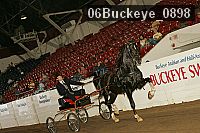 06buckeye_0898 proof