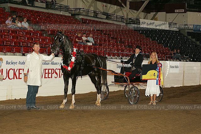 Proof 06buckeye_0899