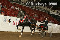 06buckeye_0900 proof