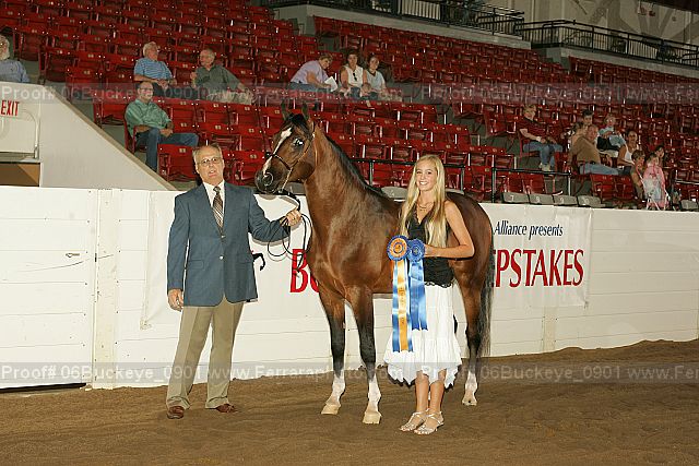 Proof 06buckeye_0901