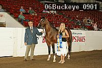 06buckeye_0901 proof