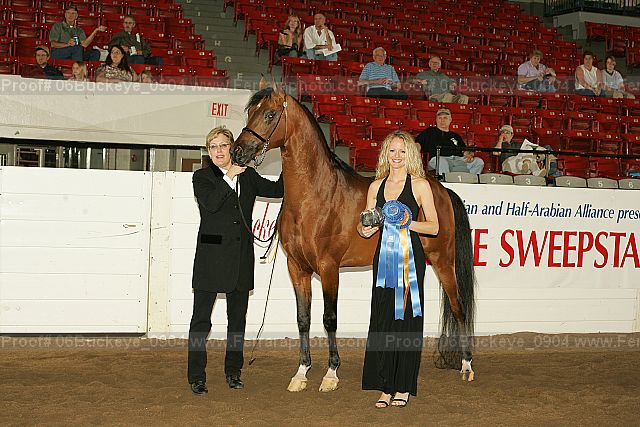Proof 06buckeye_0904