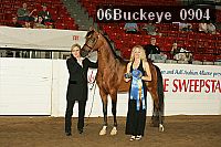 06buckeye_0904 proof