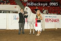 06buckeye_0905 proof
