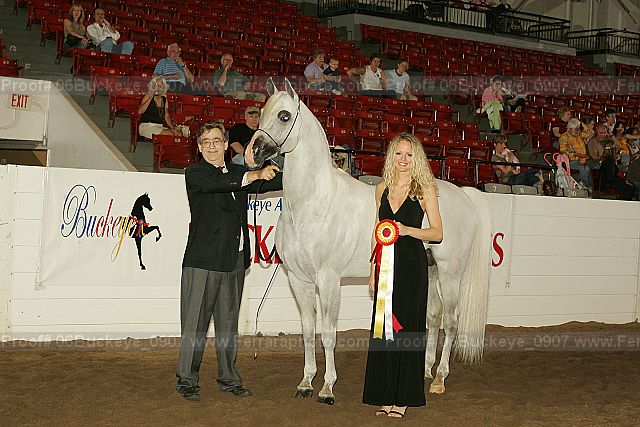 Proof 06buckeye_0907