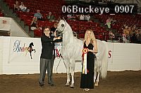 06buckeye_0907 proof