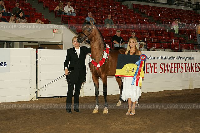Proof 06buckeye_0908