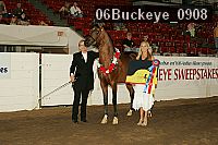 06buckeye_0908 proof
