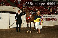 06buckeye_0909 proof