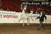 06buckeye_0910 proof