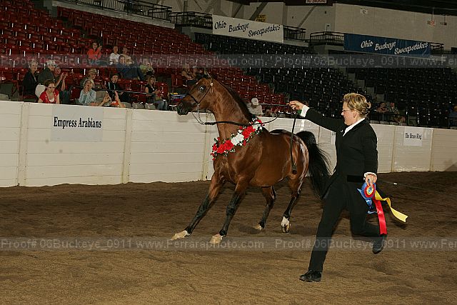 Proof 06buckeye_0911