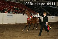 06buckeye_0911 proof
