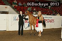 06buckeye_0913 proof
