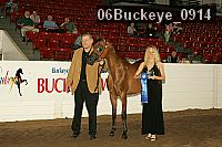 06buckeye_0914 proof