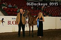 06buckeye_0915 proof
