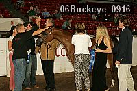 06buckeye_0916 proof