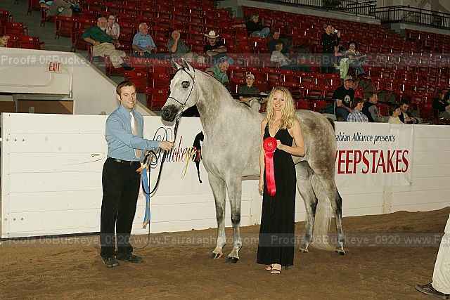 Proof 06buckeye_0920
