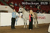 06buckeye_0920 proof