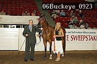 06buckeye_0923 proof