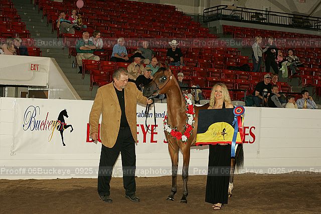 Proof 06buckeye_0925