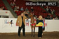 06buckeye_0925 proof