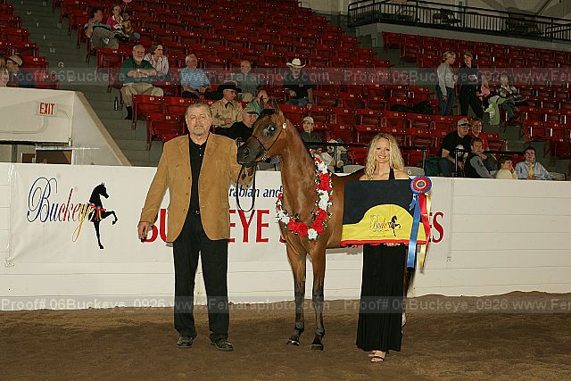 Proof 06buckeye_0926