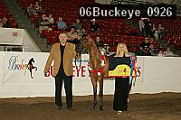 06buckeye_0926 proof
