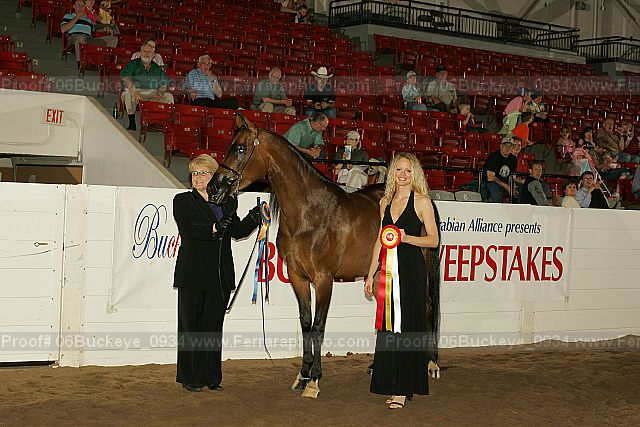 Proof 06buckeye_0934