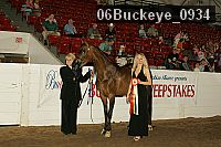 06buckeye_0934 proof