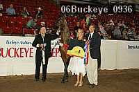 06buckeye_0936 proof