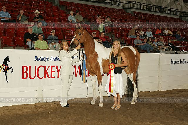 Proof 06buckeye_0938