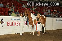 06buckeye_0938 proof