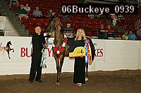 06buckeye_0939 proof