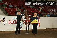 06buckeye_0940 proof