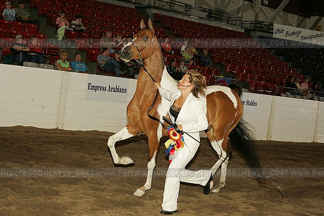 Proof 06buckeye_0941