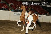 06buckeye_0941 proof
