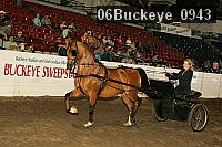 06buckeye_0943 proof