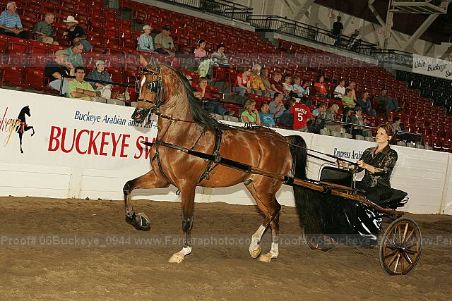 Proof 06buckeye_0944