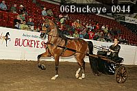 06buckeye_0944 proof