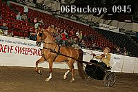 06buckeye_0945 proof