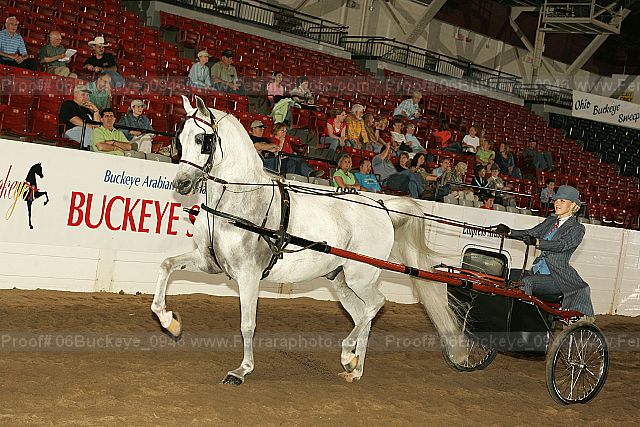 Proof 06buckeye_0946